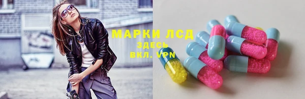 МДПВ Пересвет