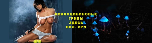 гидра Алзамай