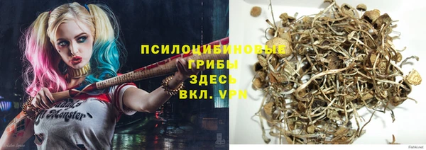 дурь Алексин