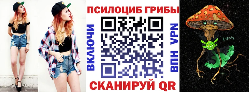 Галлюциногенные грибы MAGIC MUSHROOMS  купить   Данилов 