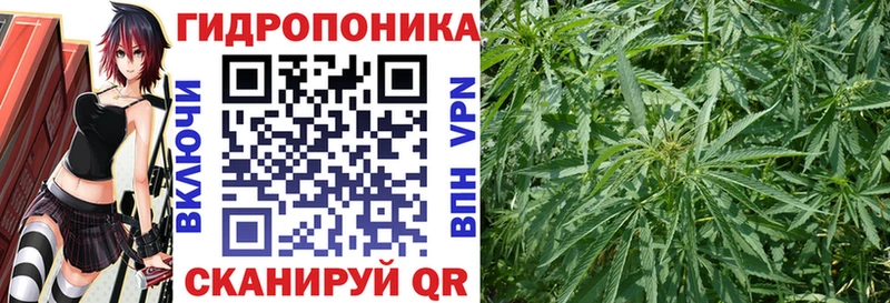 Каннабис THC 21%  Данилов 